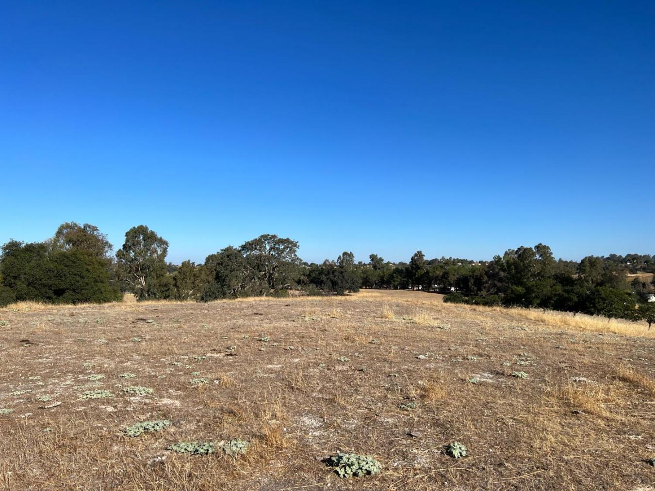 Wallace, Calaveras, 95354, United States, 3 Bedrooms Bedrooms, ,2 BathroomsBathrooms,Residential,For Sale,1954344