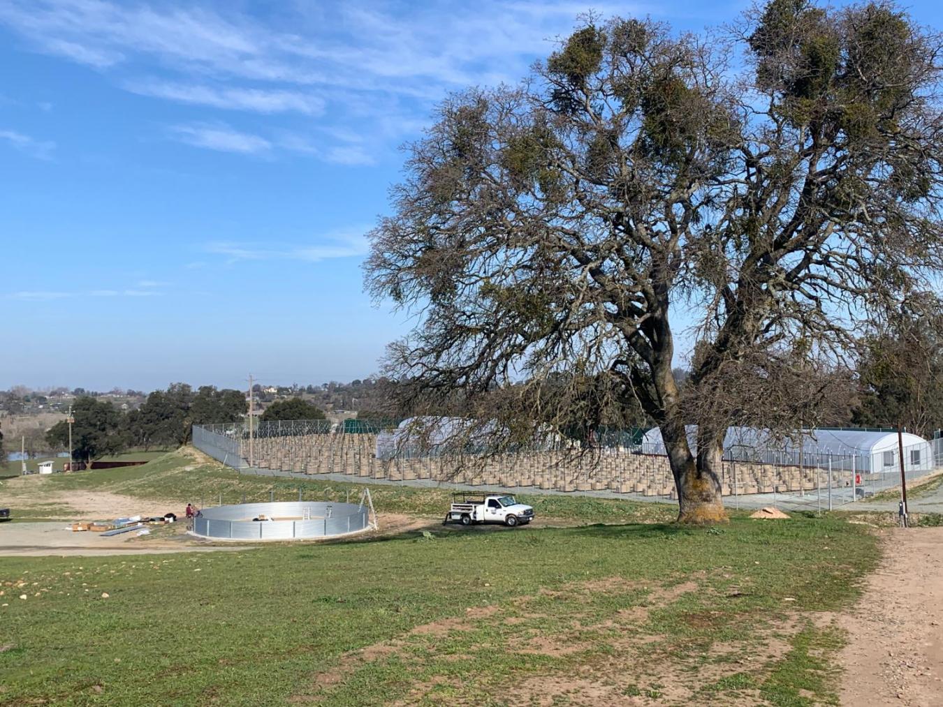 Wallace, Calaveras, 95354, United States, 3 Bedrooms Bedrooms, ,2 BathroomsBathrooms,Residential,For Sale,1954344