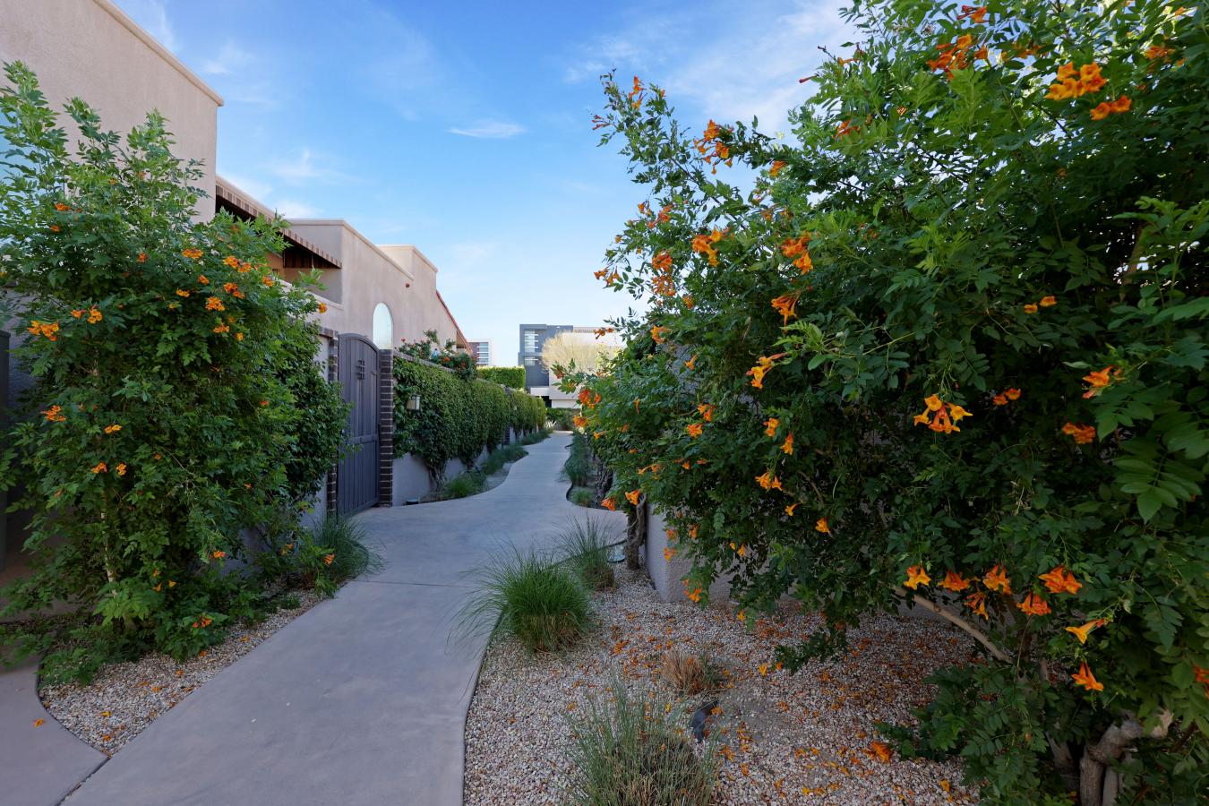 Palm Springs, Riverside, 92262, United States, 1 Bedroom Bedrooms, ,1 BathroomBathrooms,Residential,For Sale,1959843