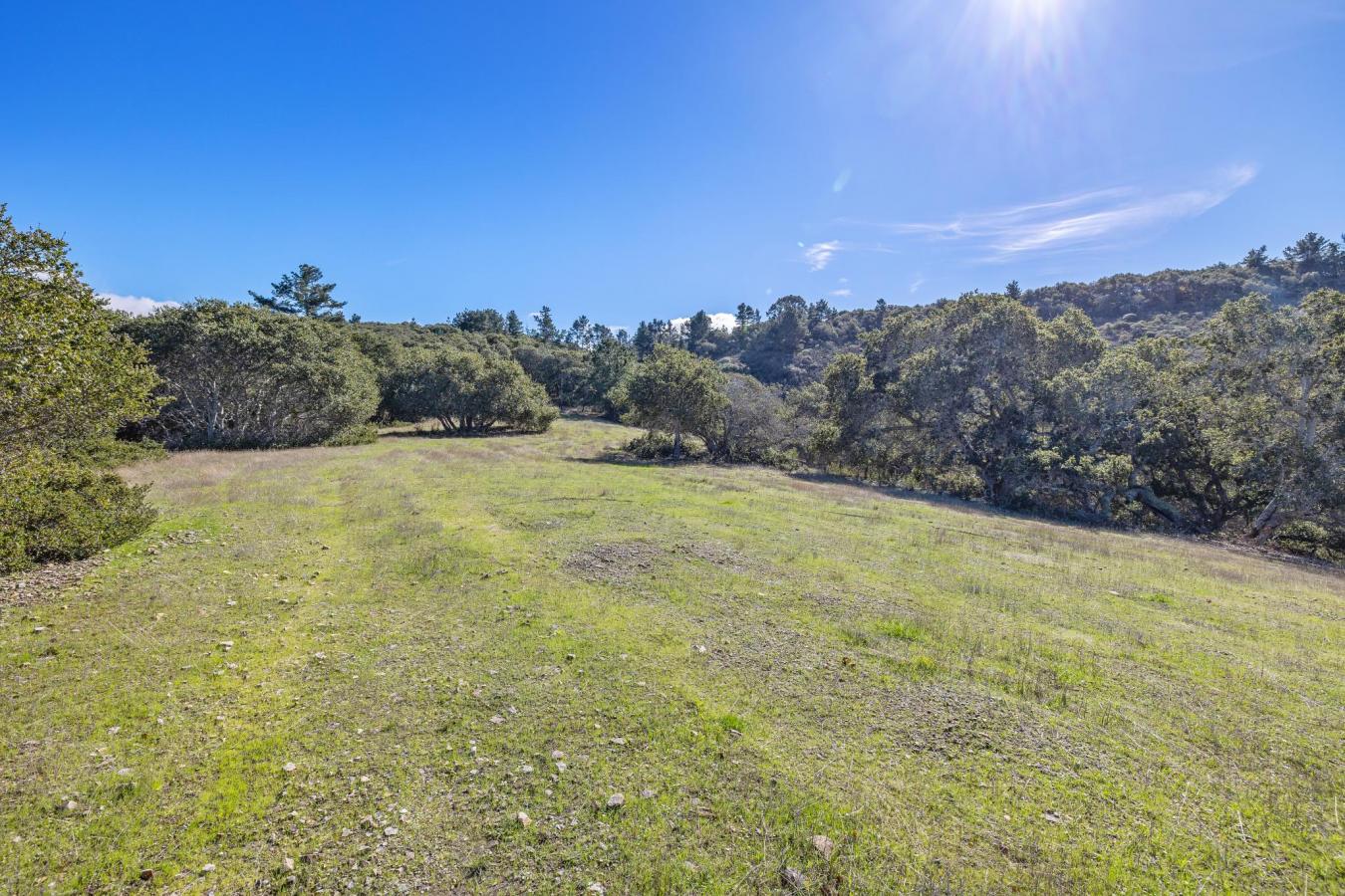 Carmel, California, 93923, United States, ,Residential,For Sale,1959819