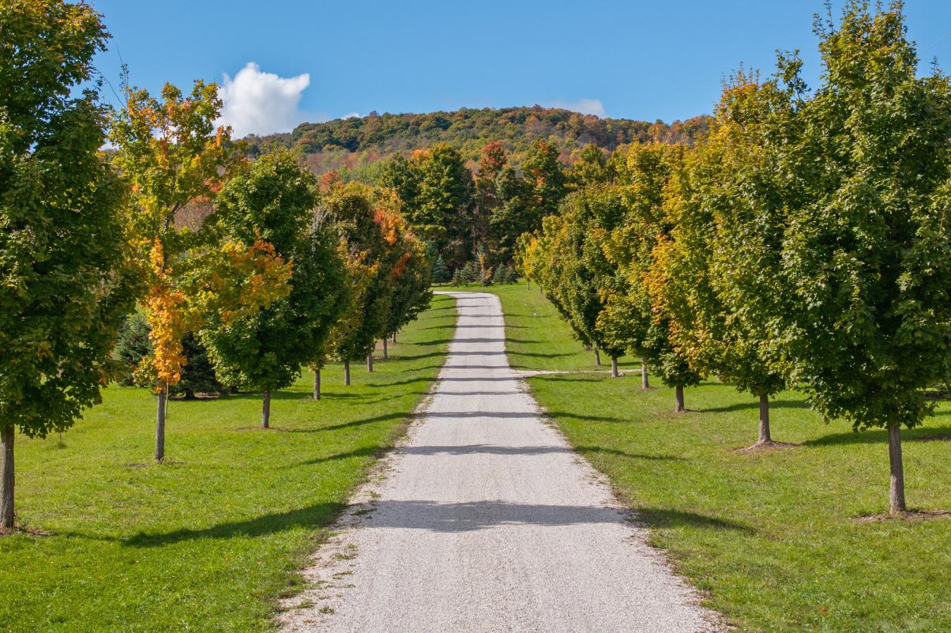 Kimberley, Grey County, N0C 1G0, Canada, ,4 BathroomsBathrooms,Residential,For Sale,1962061