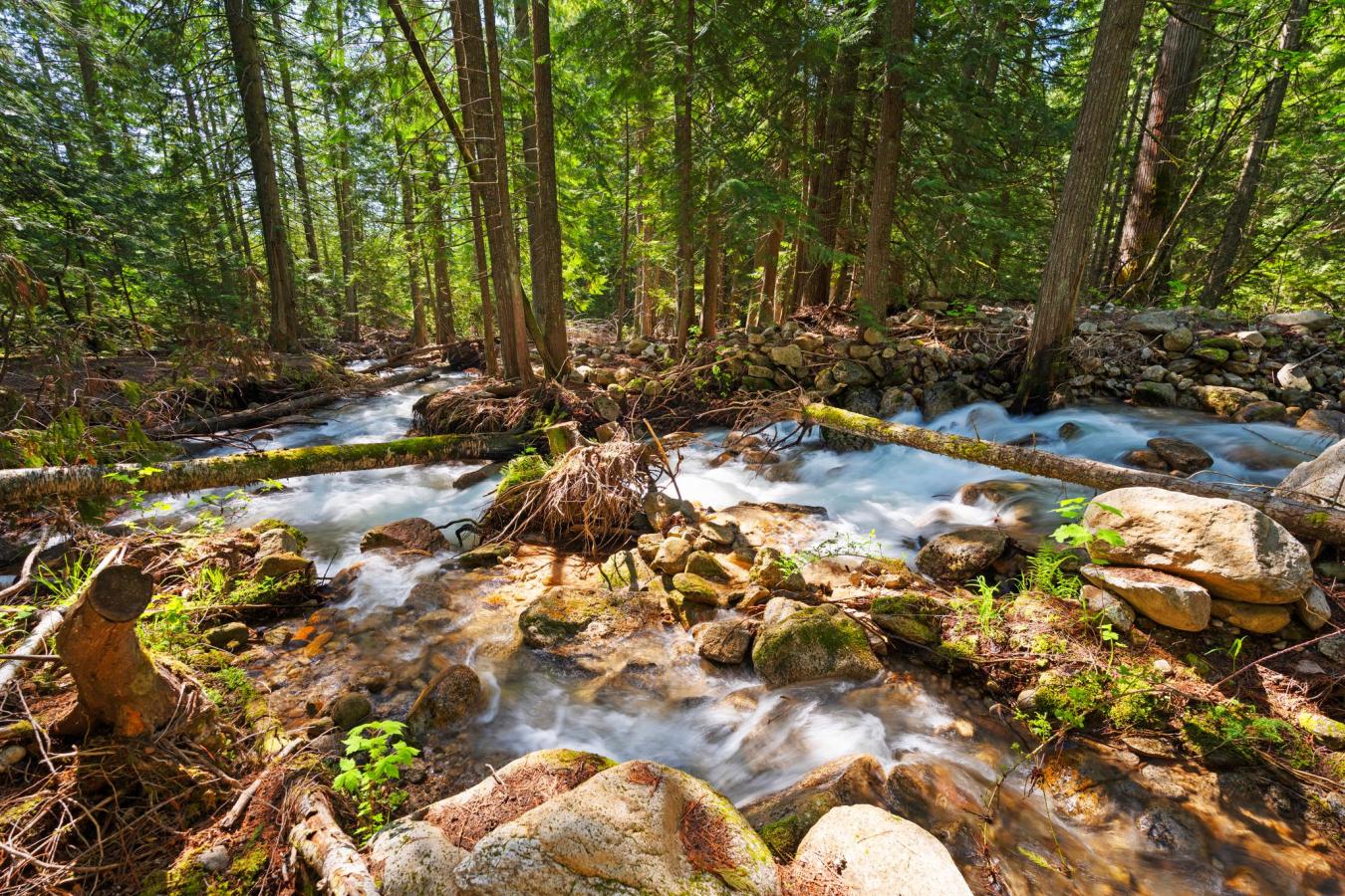 Sandpoint, Bonner, 83864, United States, 3 Bedrooms Bedrooms, ,3 BathroomsBathrooms,Residential,For Sale,1963316