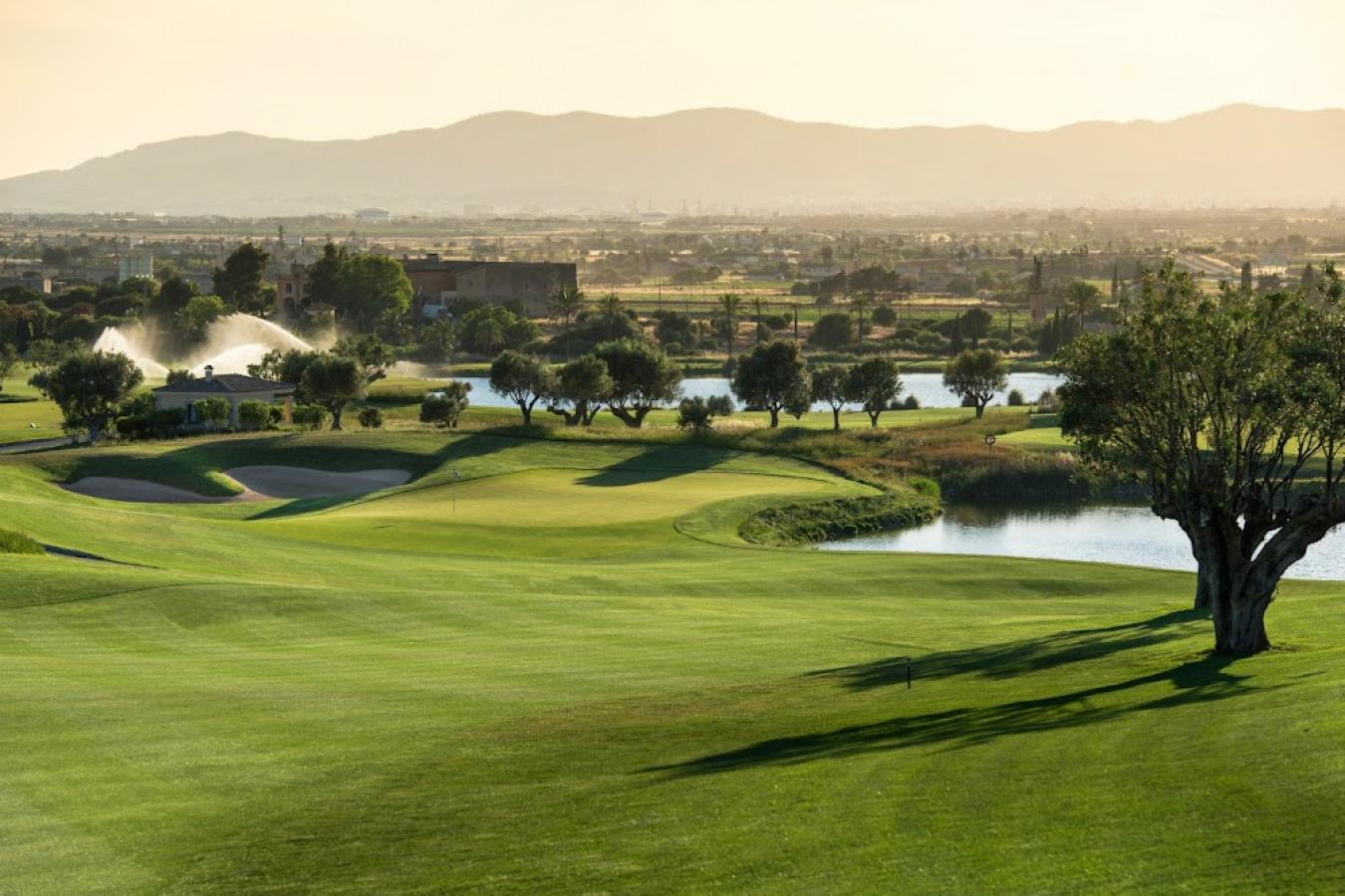 Mallorca, Spain, ,Residential,For Sale,1964422