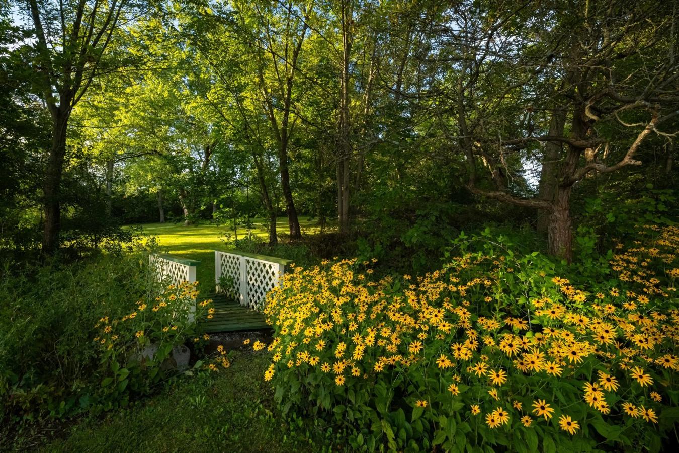 Skaneateles, ONONDAGA, 13152, United States, 6 Bedrooms Bedrooms, ,3 BathroomsBathrooms,Residential,For Sale,1964398