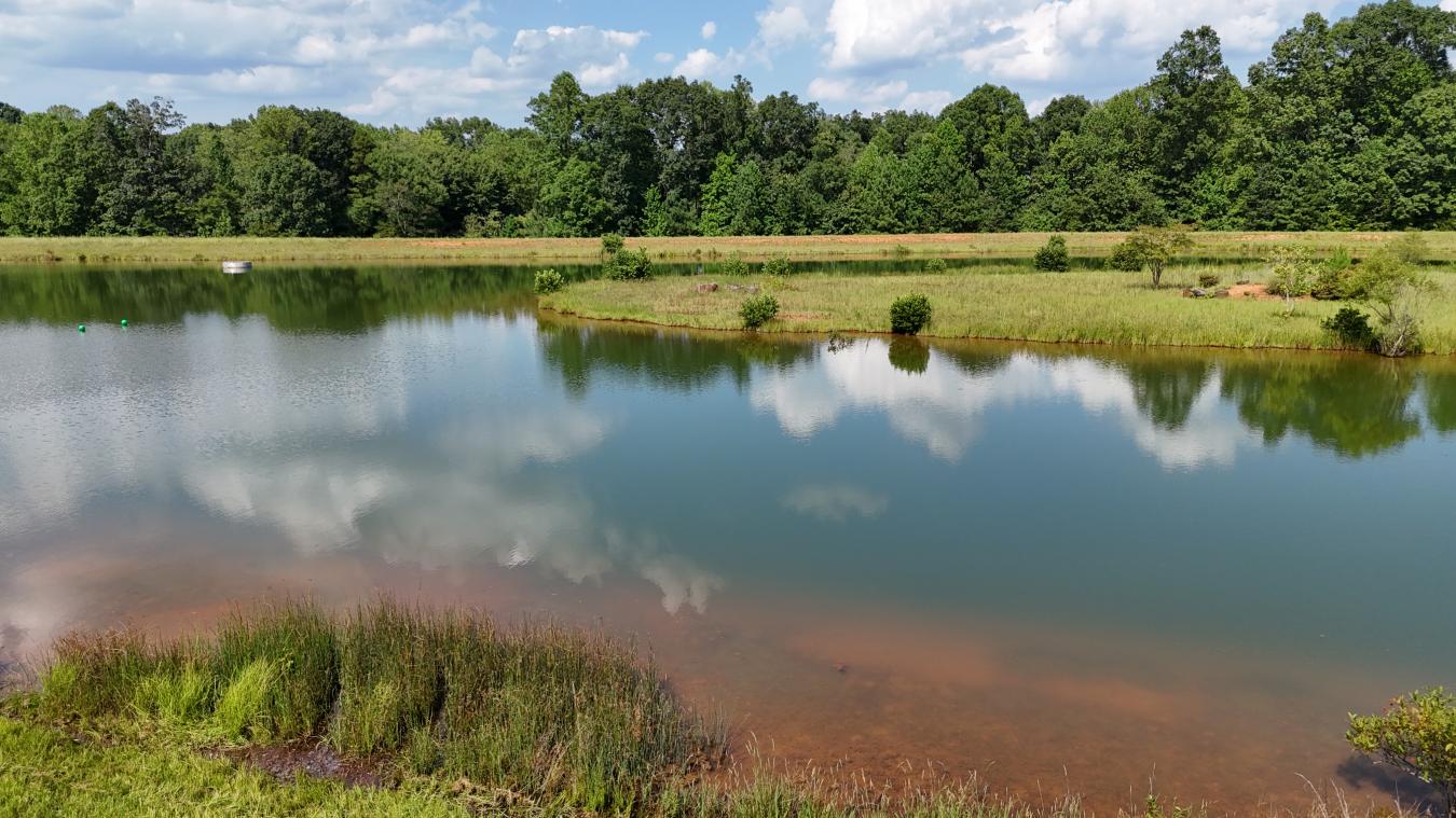 Catawba, Catawba, 28609, United States, 4 Bedrooms Bedrooms, ,3 BathroomsBathrooms,Residential,For Sale,1964394