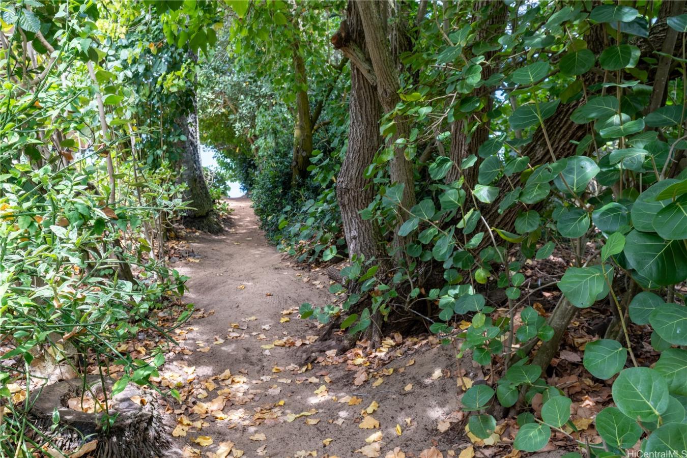 Haleiwa, Oahu, 96712, United States, 3 Bedrooms Bedrooms, ,2 BathroomsBathrooms,Residential,For Sale,1965929