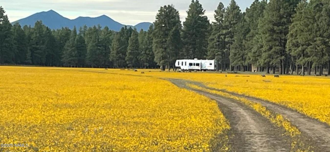 Flagstaff, Coconino, 86005, United States, ,Residential,For Sale,1969973