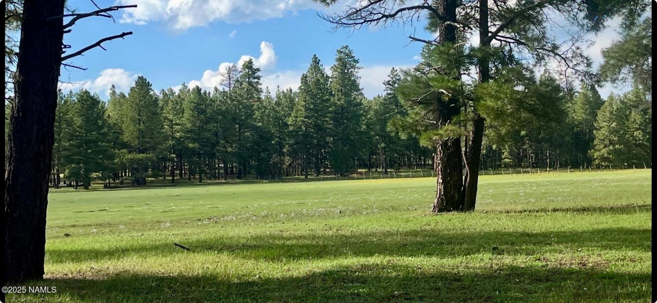 Flagstaff, Coconino, 86005, United States, ,Residential,For Sale,1969973