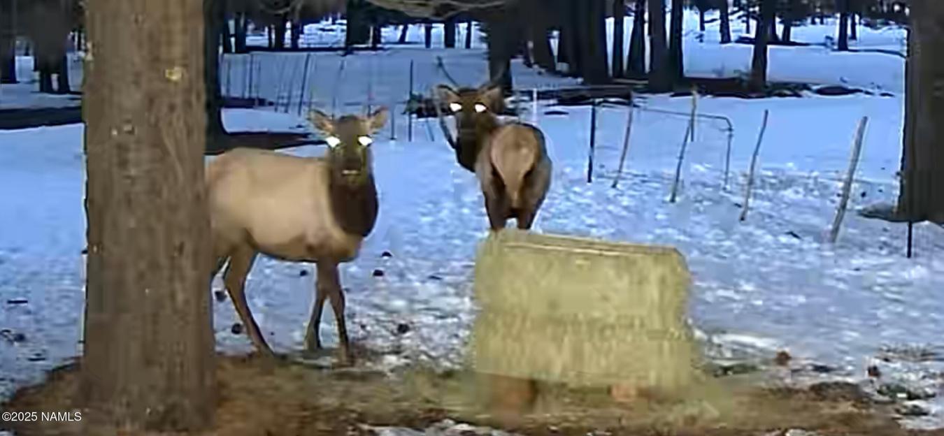 Flagstaff, Coconino, 86005, United States, ,Residential,For Sale,1969973