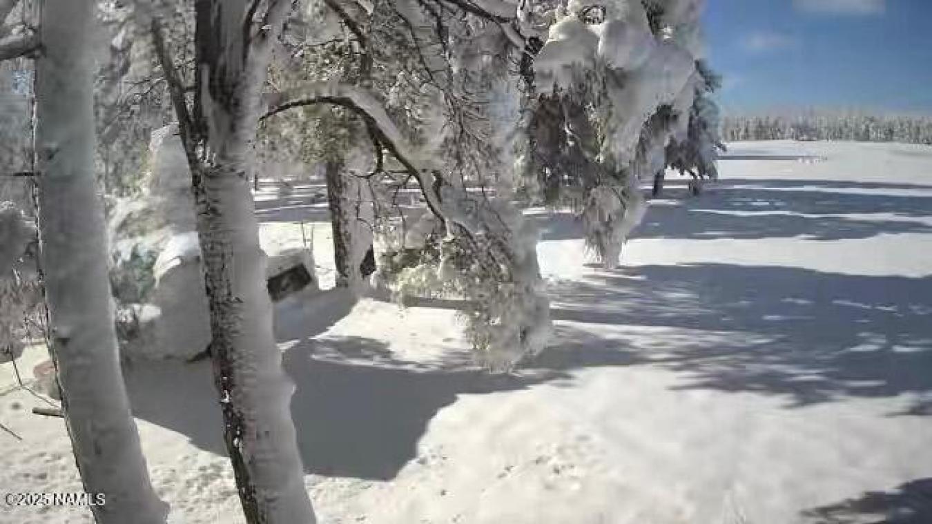 Flagstaff, Coconino, 86005, United States, ,Residential,For Sale,1969974