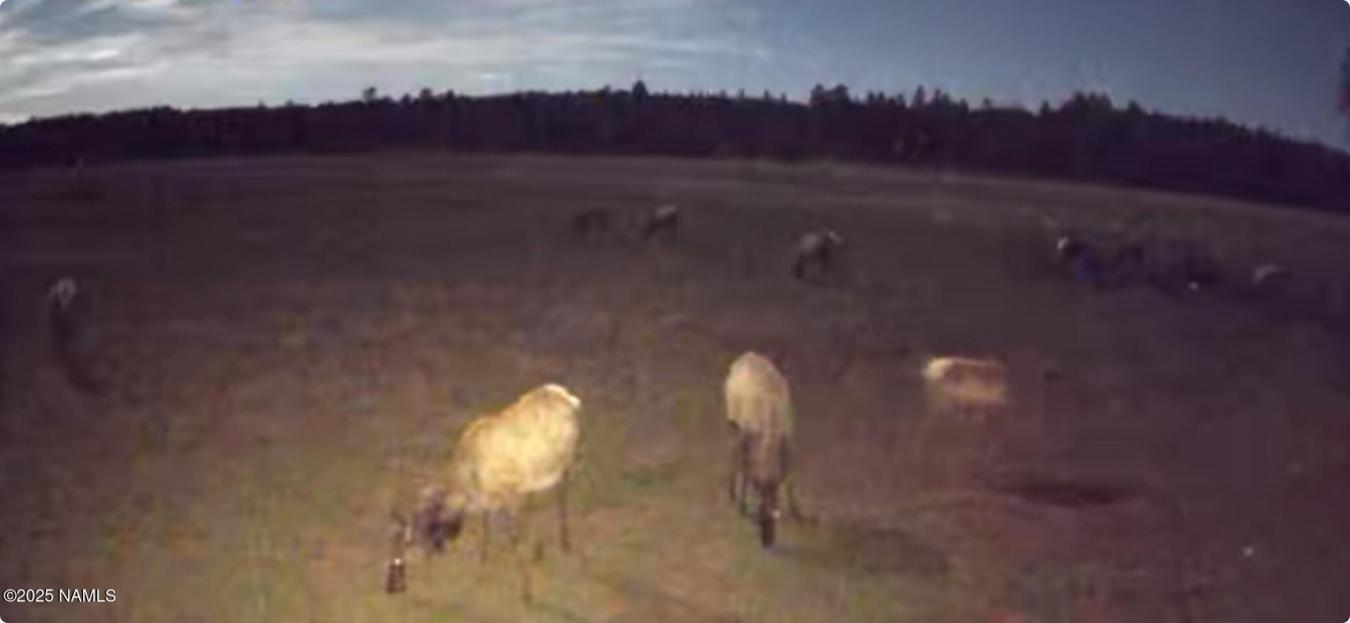 Flagstaff, Coconino, 86005, United States, ,Residential,For Sale,1969974