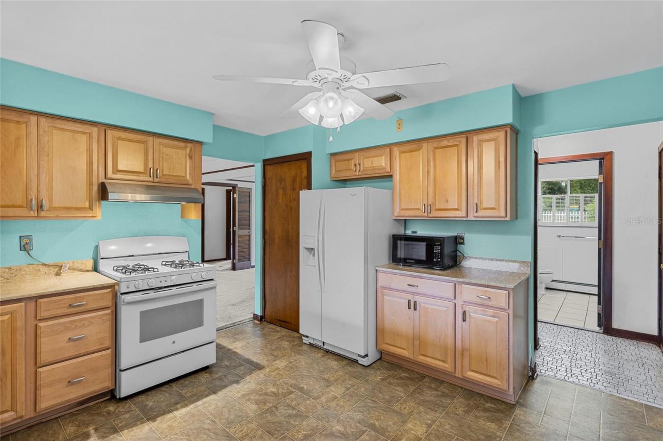 MOUNT DORA, Lake, 32757, United States, 3 Bedrooms Bedrooms, ,3 BathroomsBathrooms,Residential,For Sale,1971139