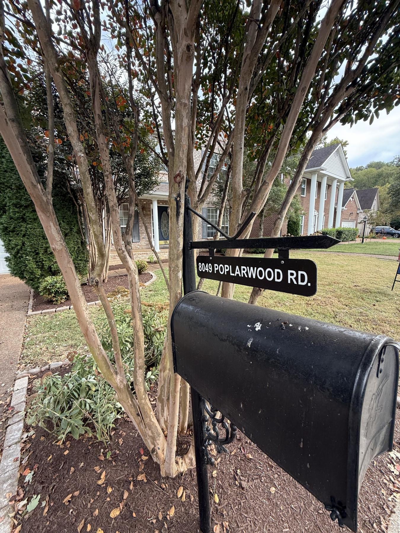 Nashville, Davidson County, TN, 37221, United States, 5 Bedrooms Bedrooms, ,3 BathroomsBathrooms,Residential,For Sale,1972050