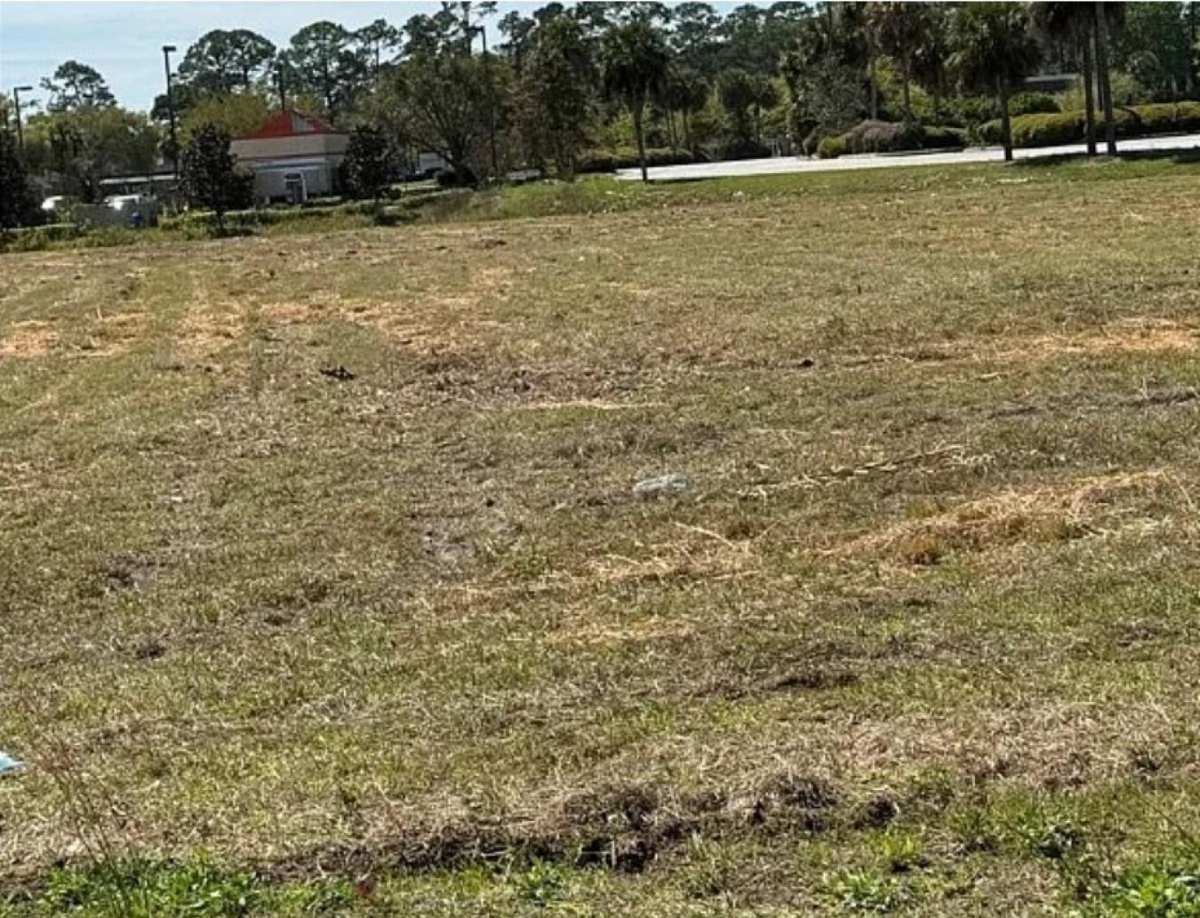 Brunswick, Glynn, 31525, United States, ,Residential,For Sale,1972033