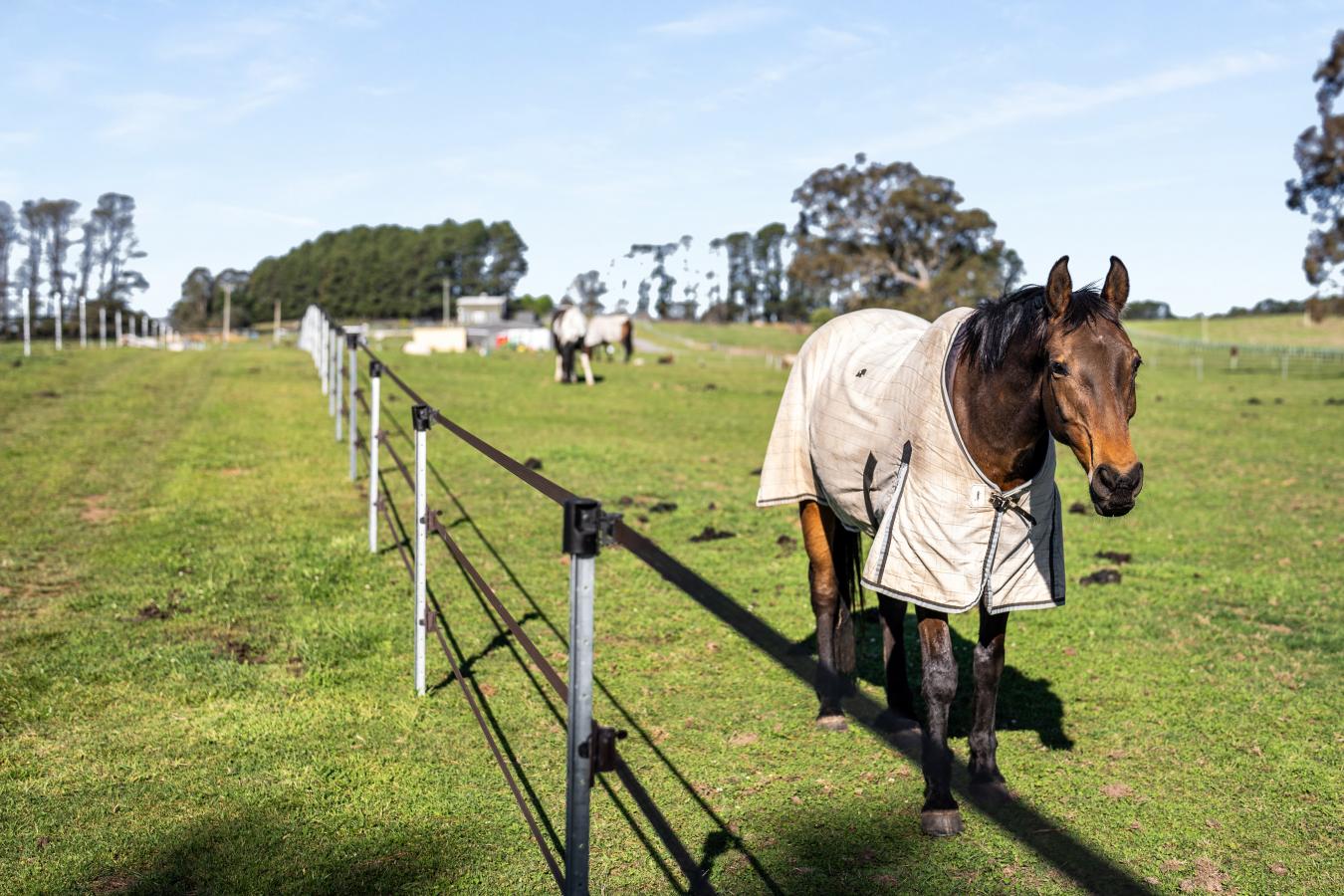 Berrima, Southern Highlands, 2577, Australia, 8 Bedrooms Bedrooms, ,6 BathroomsBathrooms,Residential,For Sale,1972032