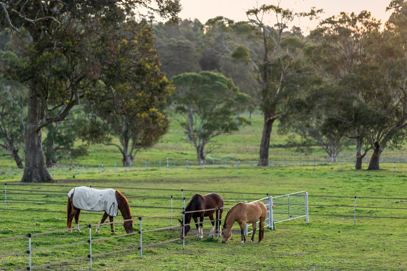 Berrima, Southern Highlands, 2577, Australia, 8 Bedrooms Bedrooms, ,6 BathroomsBathrooms,Residential,For Sale,1972032 Berrima, Southern Highlands, 2577, Australia, 8 Bedrooms Bedrooms, ,6 BathroomsBathrooms,Residential,For Sale,1972032