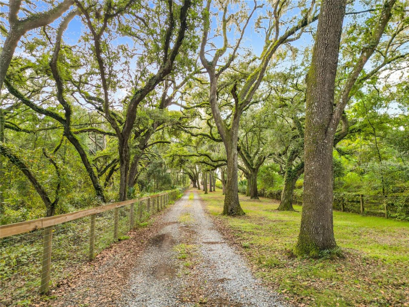 ANTHONY, Marion, 32617, United States, 3 Bedrooms Bedrooms, ,2 BathroomsBathrooms,Residential,For Sale,1984650