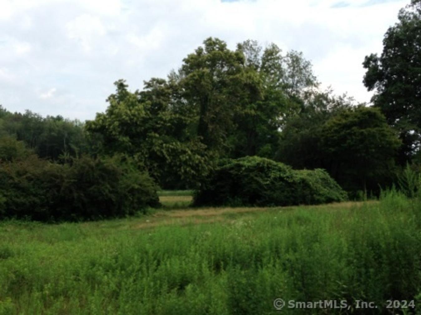 New Canaan, Connecticut, 06840, United States, ,Residential,For Sale,1985788