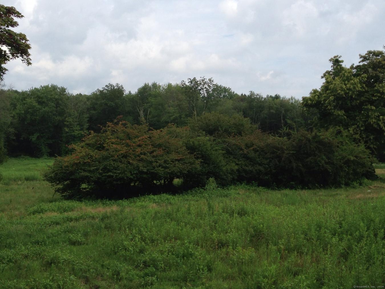 New Canaan, Connecticut, 06840, United States, ,Residential,For Sale,1985785