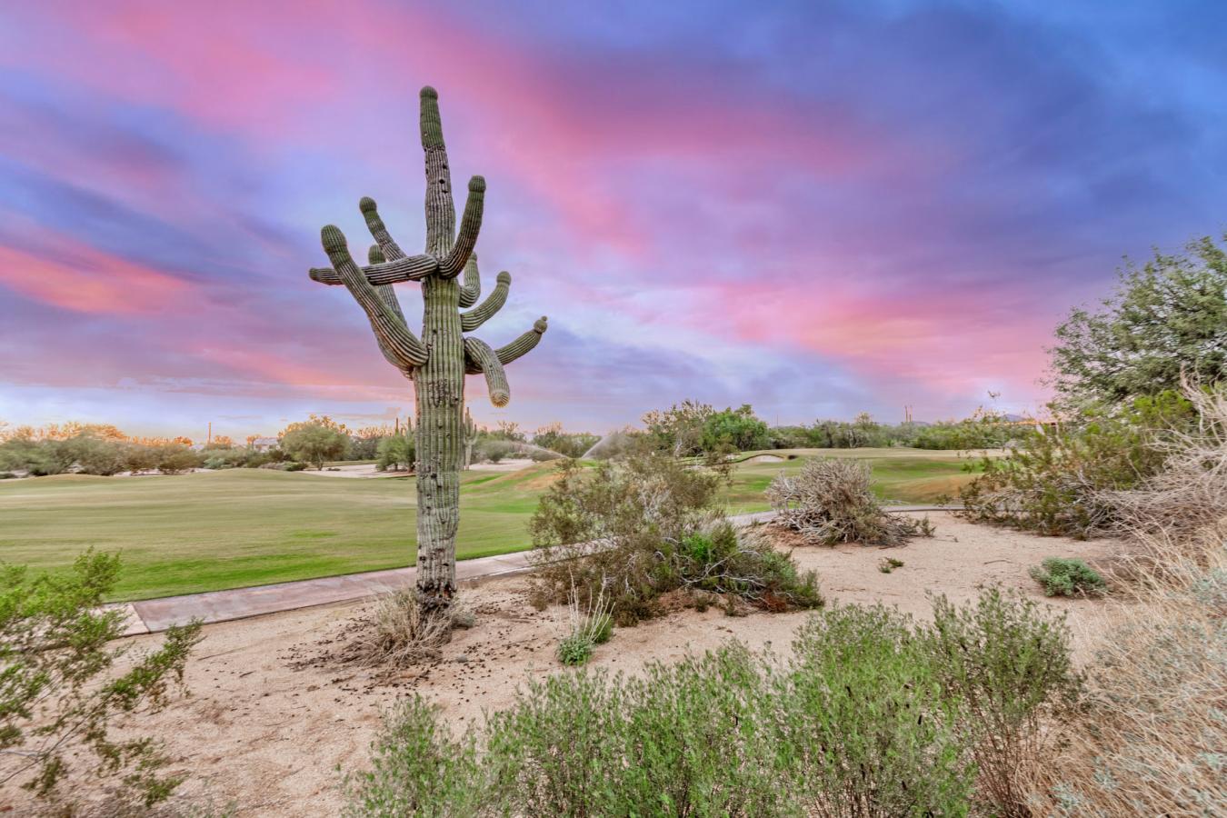 Cave Creek, Maricopa, 85331, United States, 3 Bedrooms Bedrooms, ,2 BathroomsBathrooms,Residential,For Sale,1987147