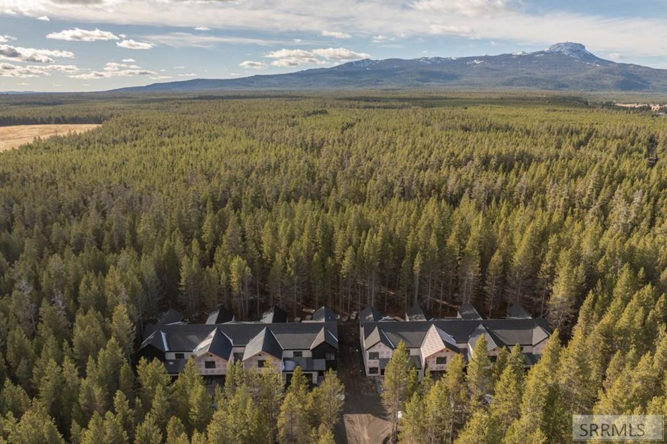 Island Park, Fremont, 83429, United States, 4 Bedrooms Bedrooms, ,3 BathroomsBathrooms,Residential,For Sale,1987145