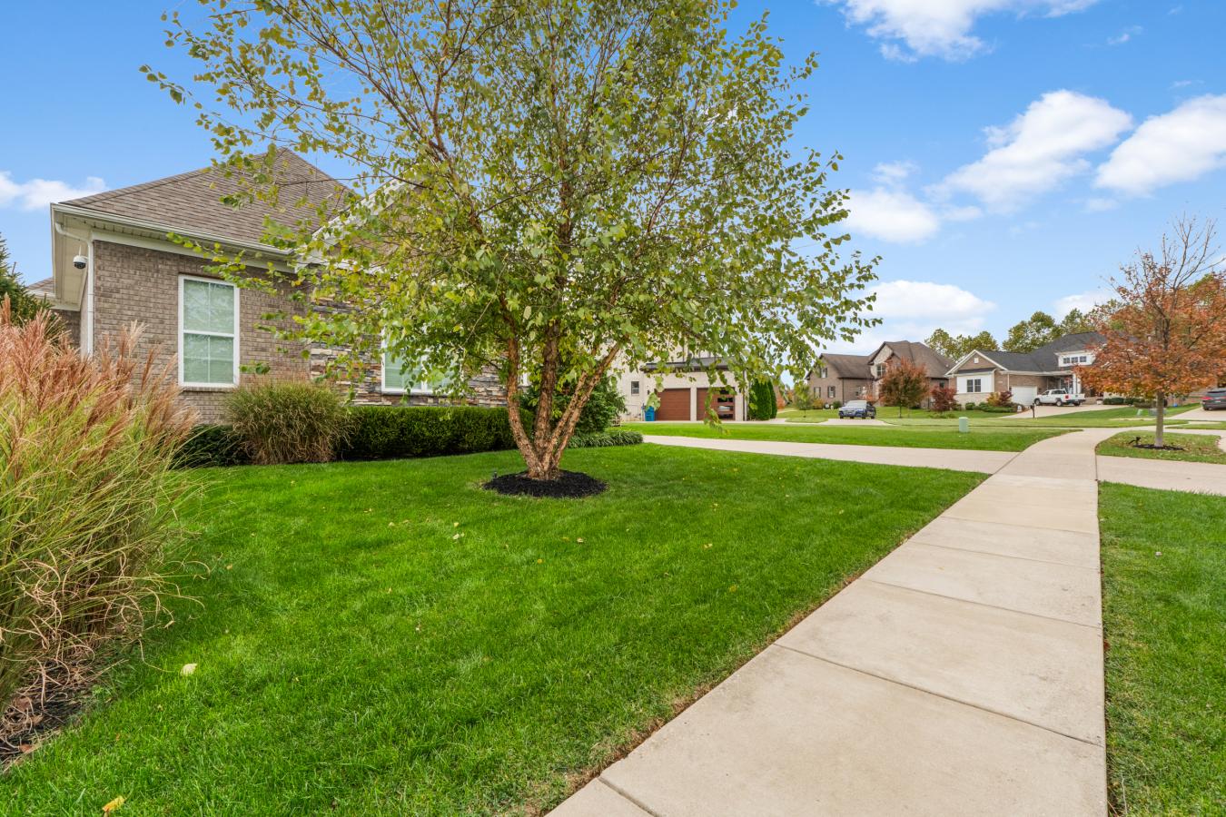 Louisville, Kentucky, 40245, United States, 4 Bedrooms Bedrooms, ,3 BathroomsBathrooms,Residential,For Sale,1990272