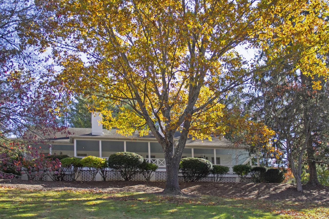 White Sulphur Springs, Greenbrier, 24986, United States, 1 Bedroom Bedrooms, ,1 BathroomBathrooms,Residential,For Sale,1988664