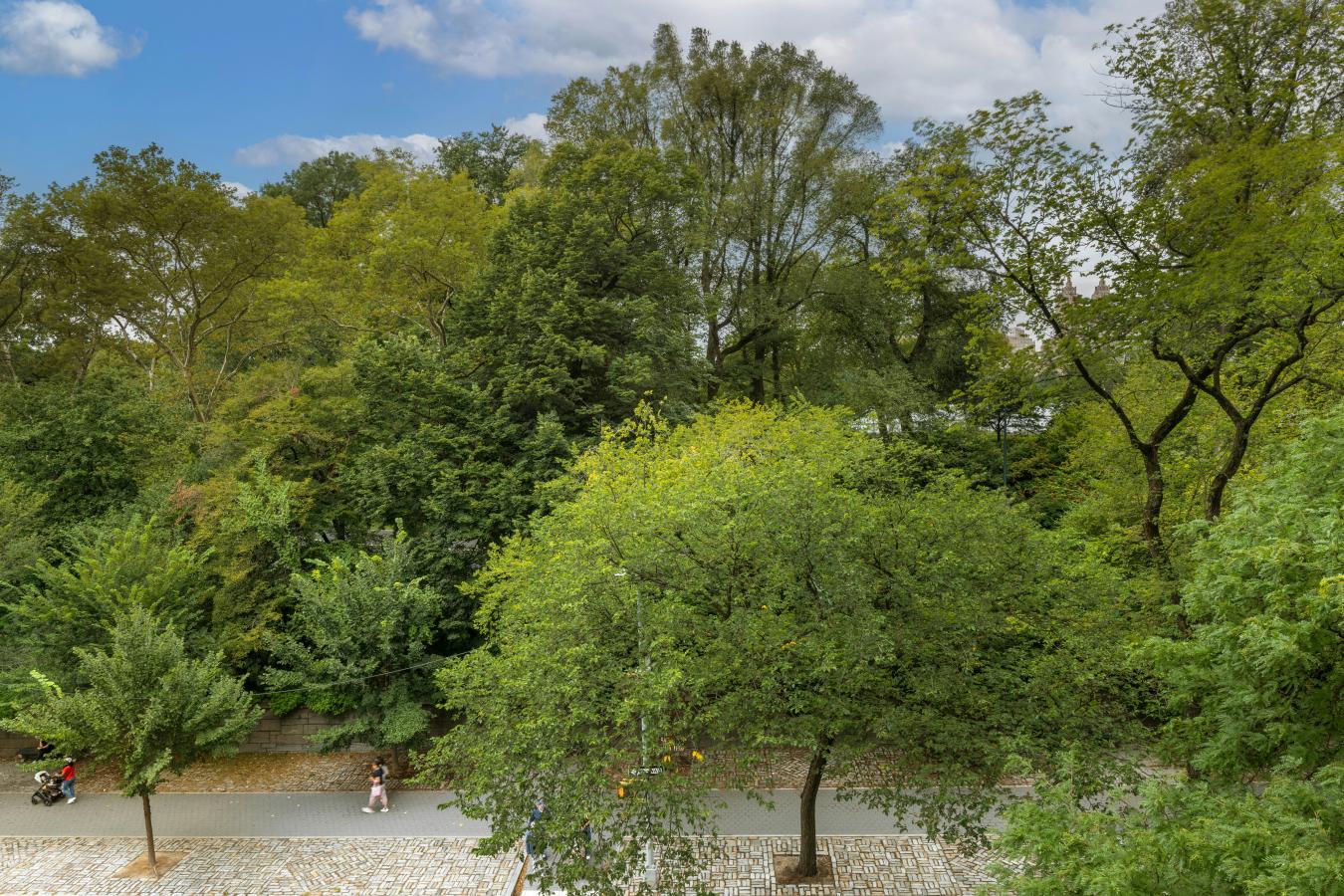 New York, New York, 10028, United States, 2 Bedrooms Bedrooms, ,2 BathroomsBathrooms,Residential,For Sale,2012803