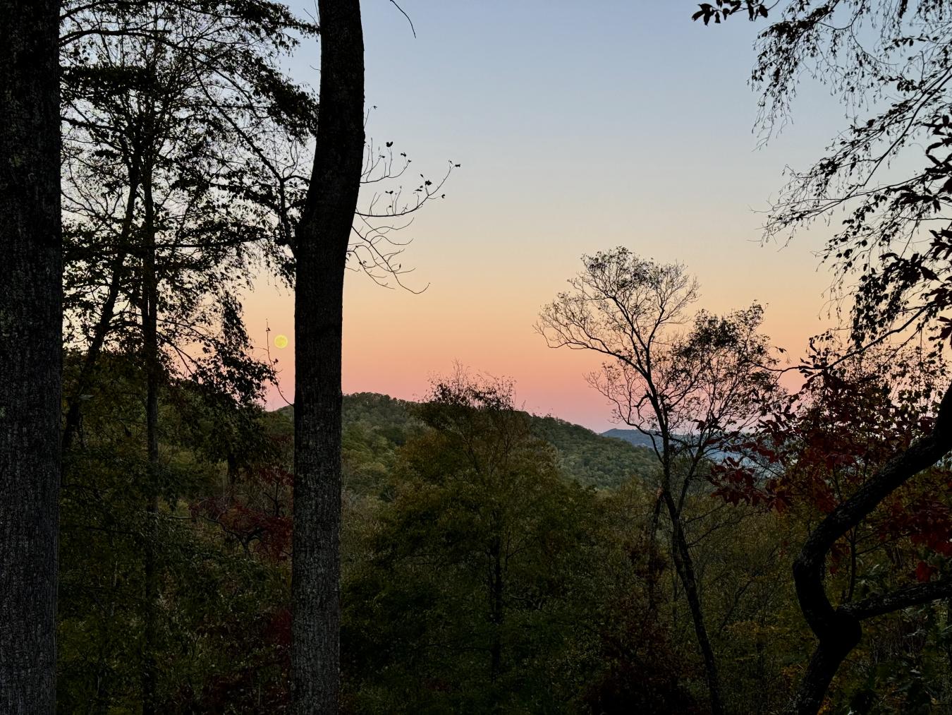 Hendersonville, Henderson, 28792, United States, 4 Bedrooms Bedrooms, ,3 BathroomsBathrooms,Residential,For Sale,1988908