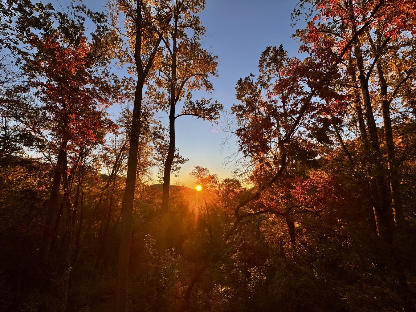 Hendersonville, Henderson, 28792, United States, 4 Bedrooms Bedrooms, ,3 BathroomsBathrooms,Residential,For Sale,1988908