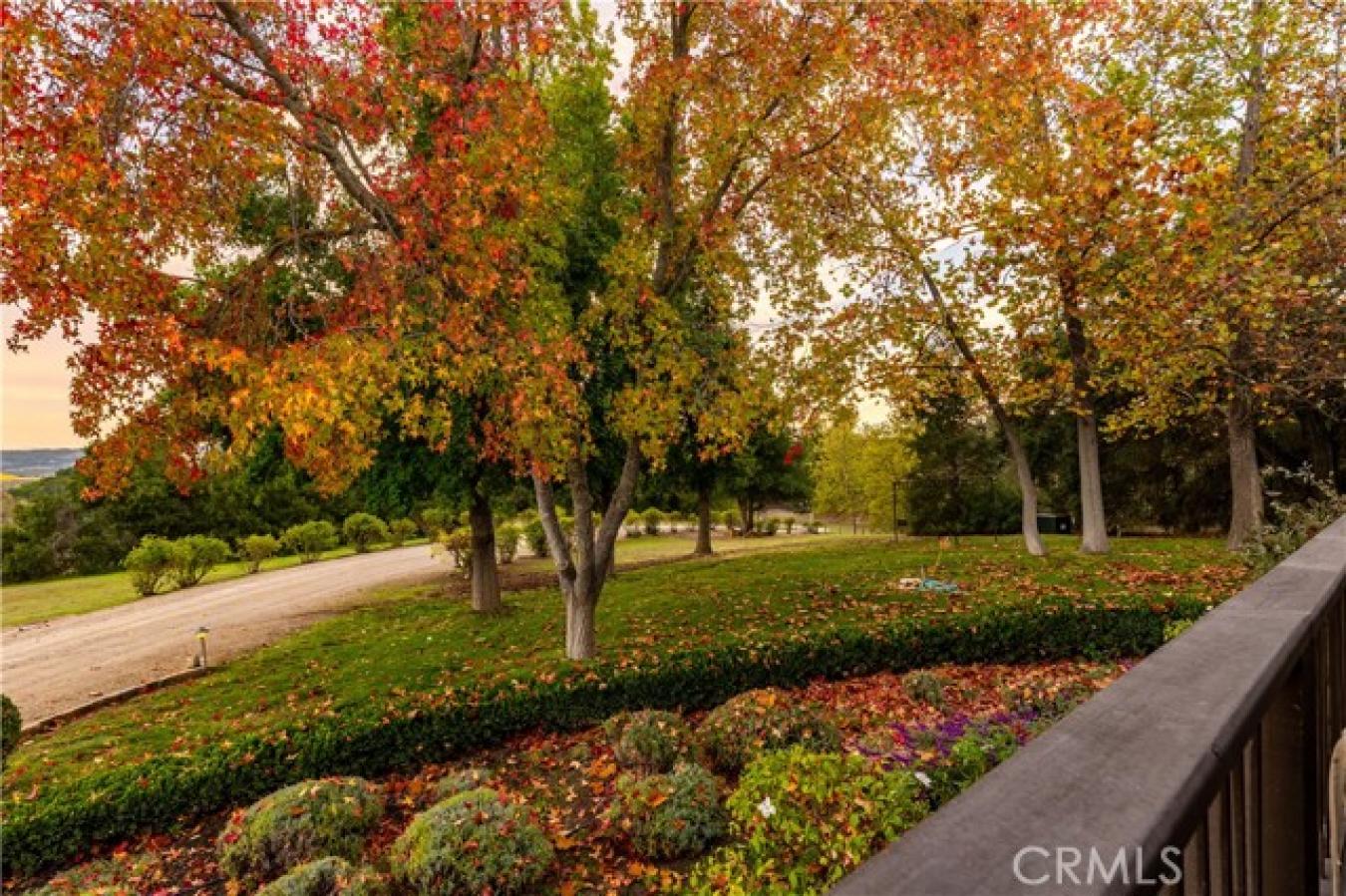 Paso Robles, San Luis Obispo, 93446, United States, 5 Bedrooms Bedrooms, ,5 BathroomsBathrooms,Residential,For Sale,1990268