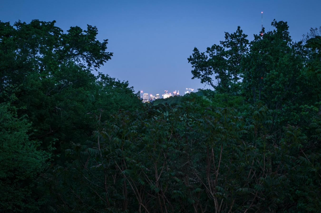 Nashville, Davidson County, TN, 37209, United States, 5 Bedrooms Bedrooms, ,5 BathroomsBathrooms,Residential,For Sale,1990261