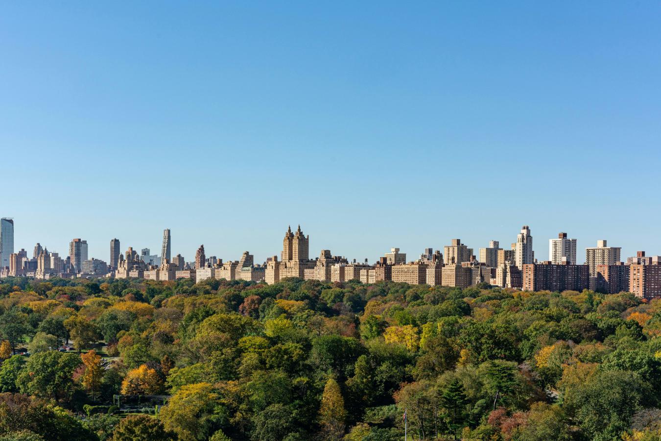 New York, New York, 10029, United States, 2 Bedrooms Bedrooms, ,2 BathroomsBathrooms,Residential,For Sale,1990522