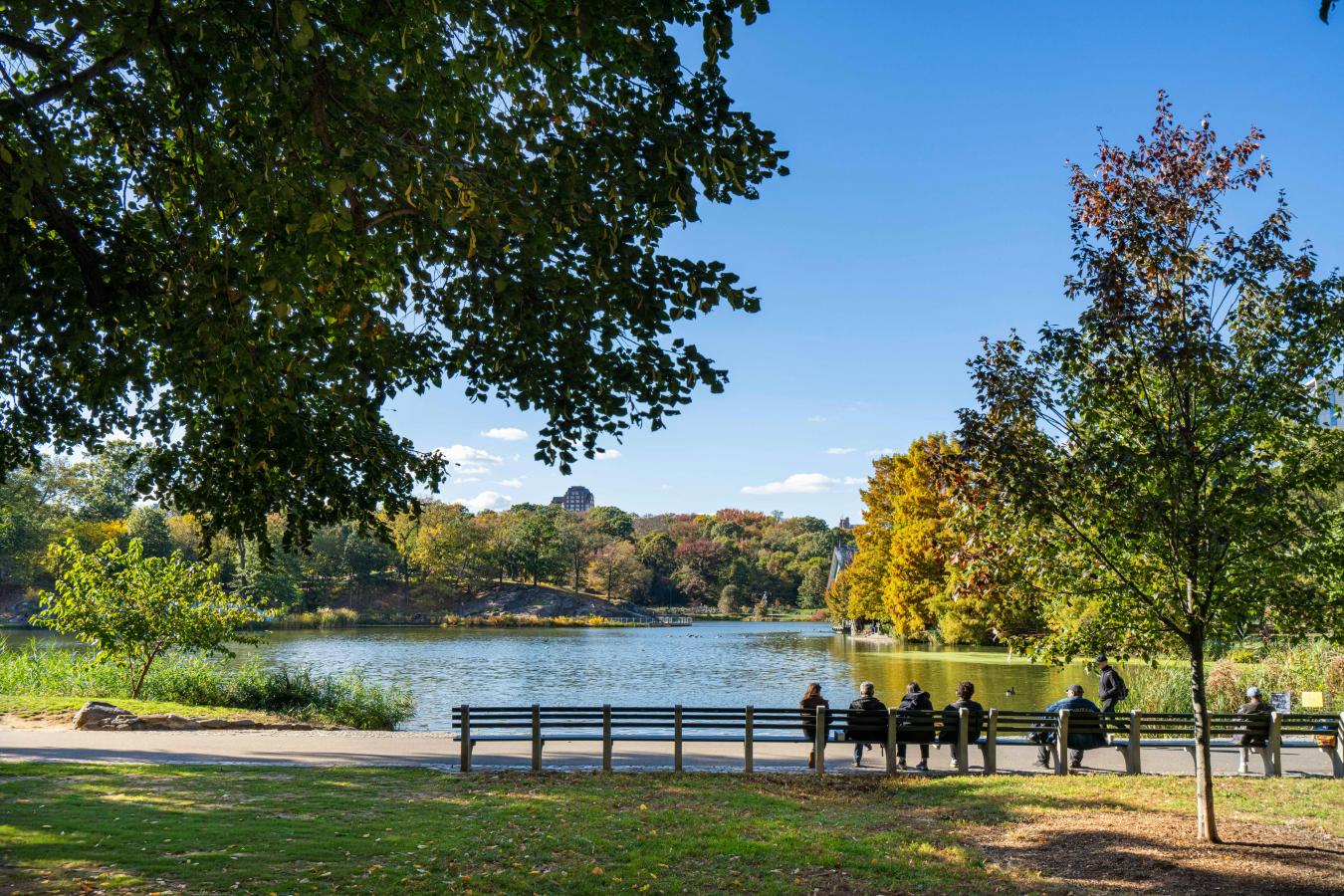 New York, New York, 10029, United States, 2 Bedrooms Bedrooms, ,2 BathroomsBathrooms,Residential,For Sale,1990522