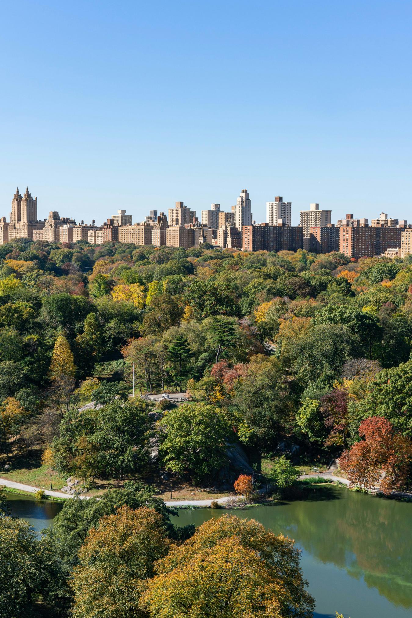 New York, New York, 10029, United States, 2 Bedrooms Bedrooms, ,2 BathroomsBathrooms,Residential,For Sale,1990522