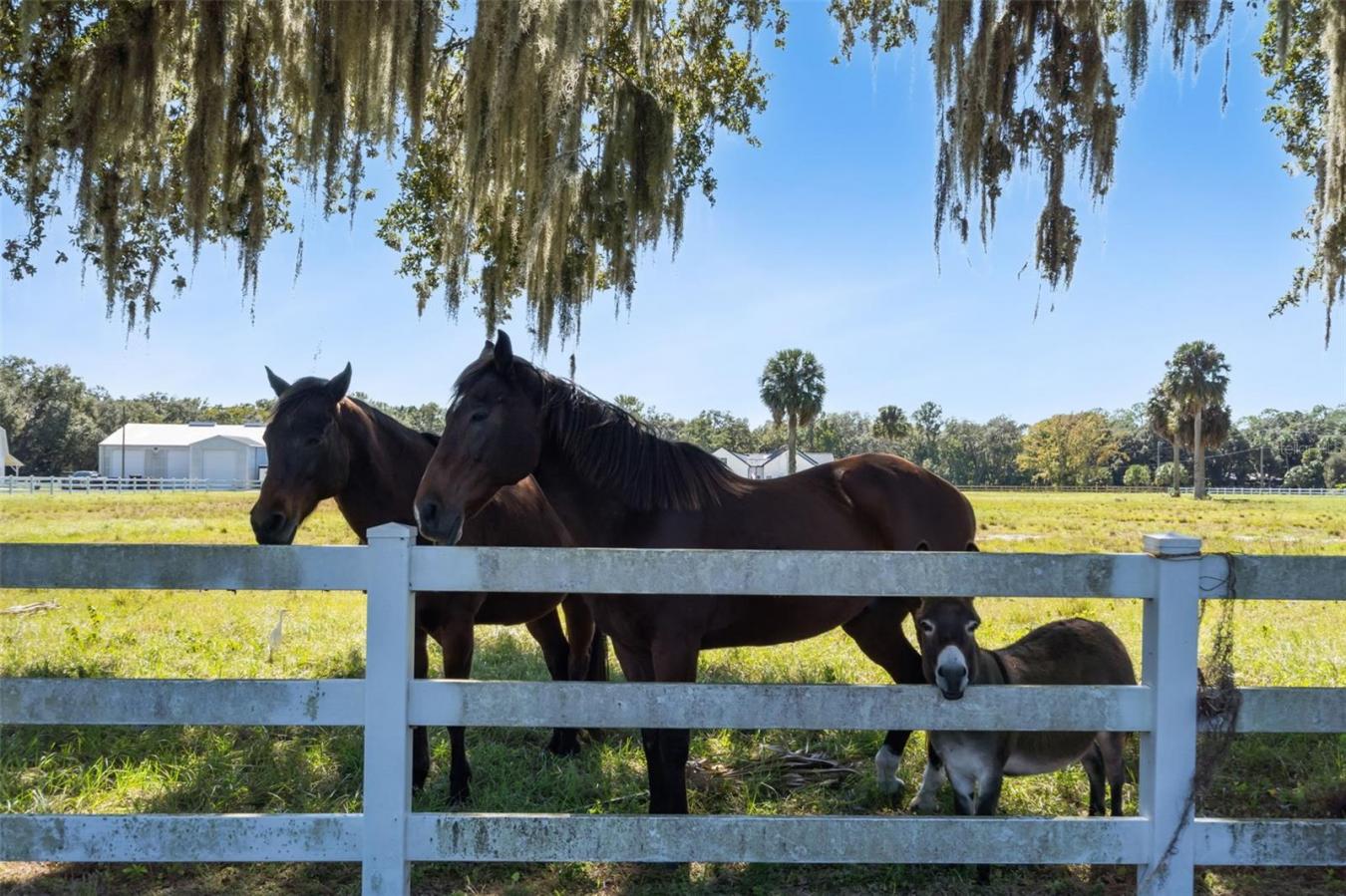 sanford, Florida, 32773, United States, 4 Bedrooms Bedrooms, ,3 BathroomsBathrooms,Residential,For Sale,1990851