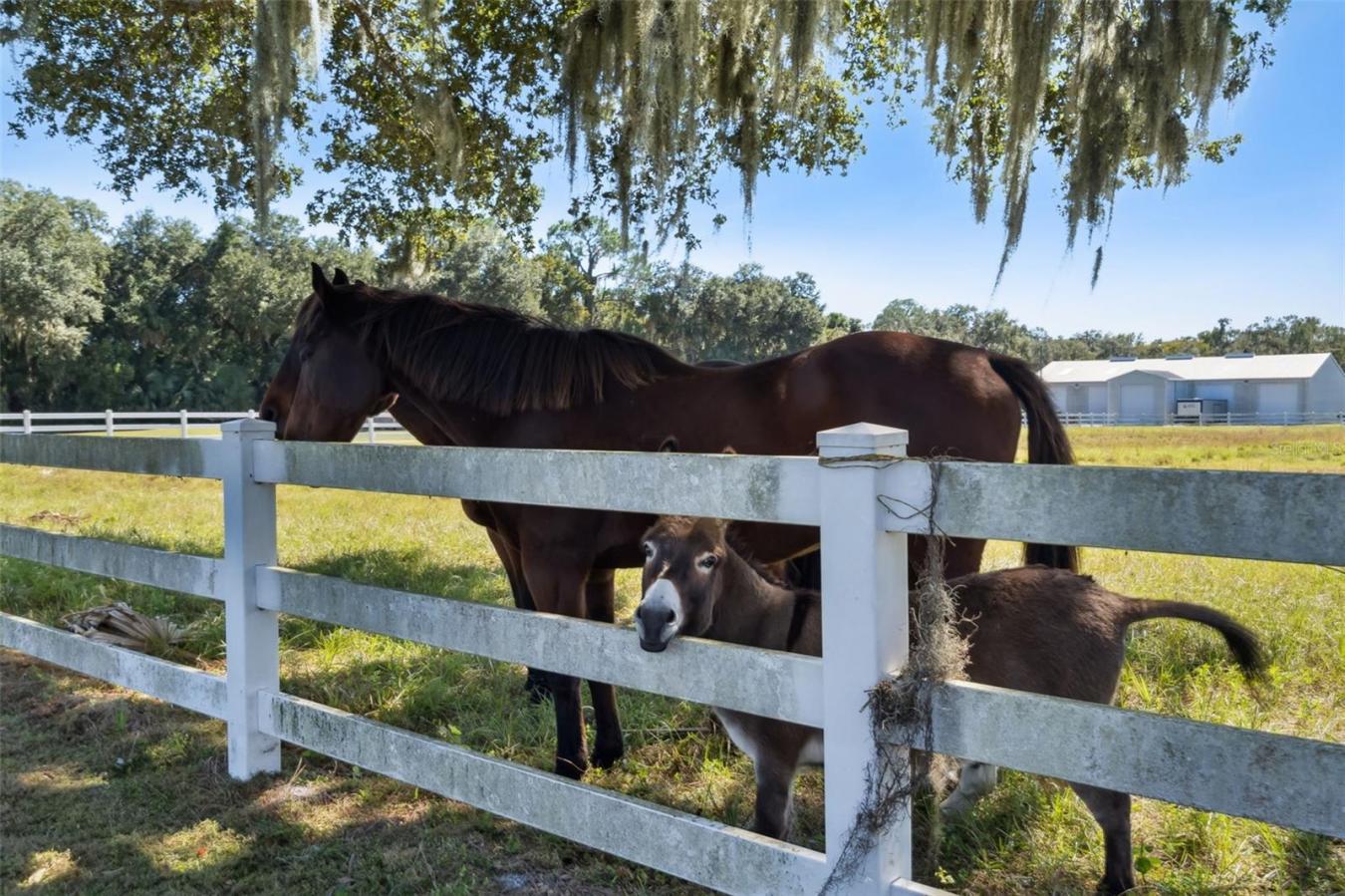 sanford, Florida, 32773, United States, 4 Bedrooms Bedrooms, ,3 BathroomsBathrooms,Residential,For Sale,1990851