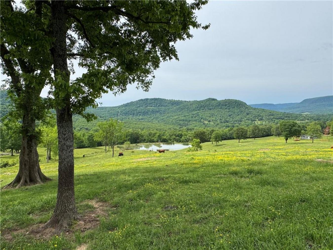 Mount Judea, Newton, 76048, United States, 3 Bedrooms Bedrooms, ,2 BathroomsBathrooms,Residential,For Sale,1990850