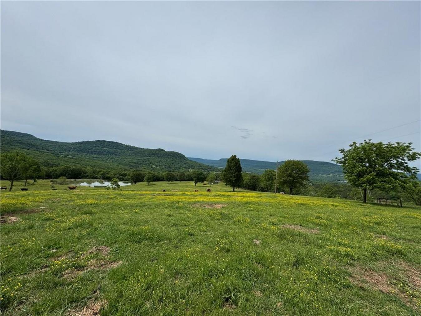 Mount Judea, Newton, 76048, United States, 3 Bedrooms Bedrooms, ,2 BathroomsBathrooms,Residential,For Sale,1990850