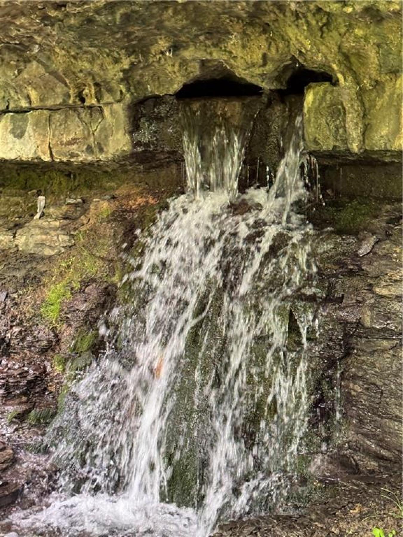 Mount Judea, Newton, 76048, United States, 3 Bedrooms Bedrooms, ,2 BathroomsBathrooms,Residential,For Sale,1990850