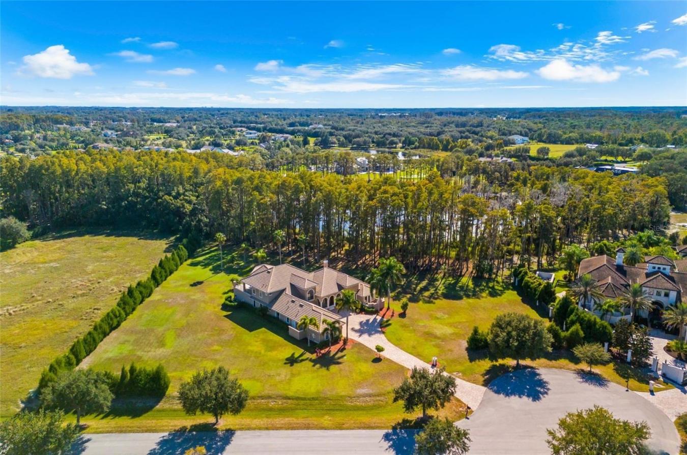 ODESSA, Hillsborough, 33556, United States, 4 Bedrooms Bedrooms, ,5 BathroomsBathrooms,Residential,For Sale,1992783