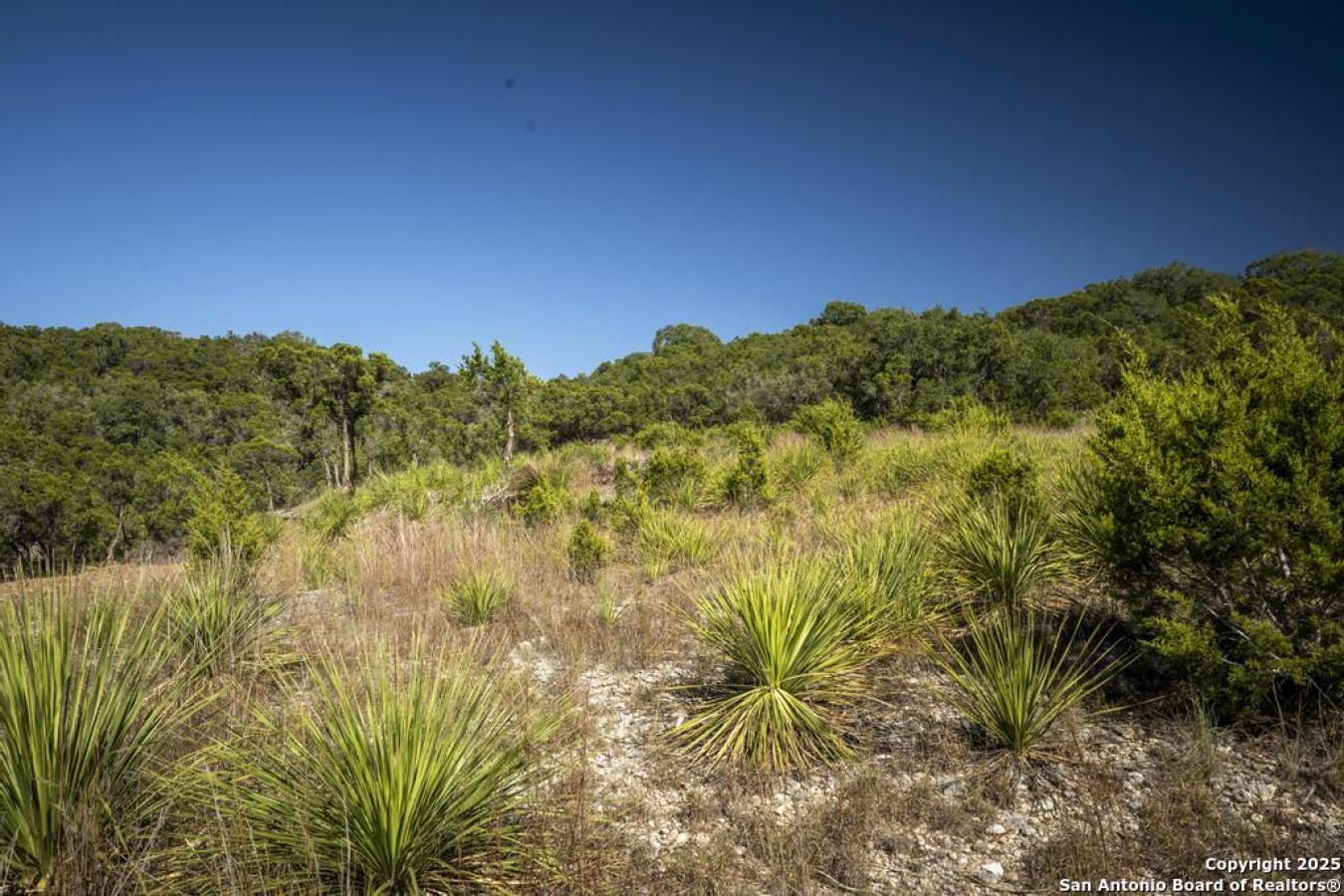 Bulverde, Comal, 78163, United States, ,Residential,For Sale,1995224