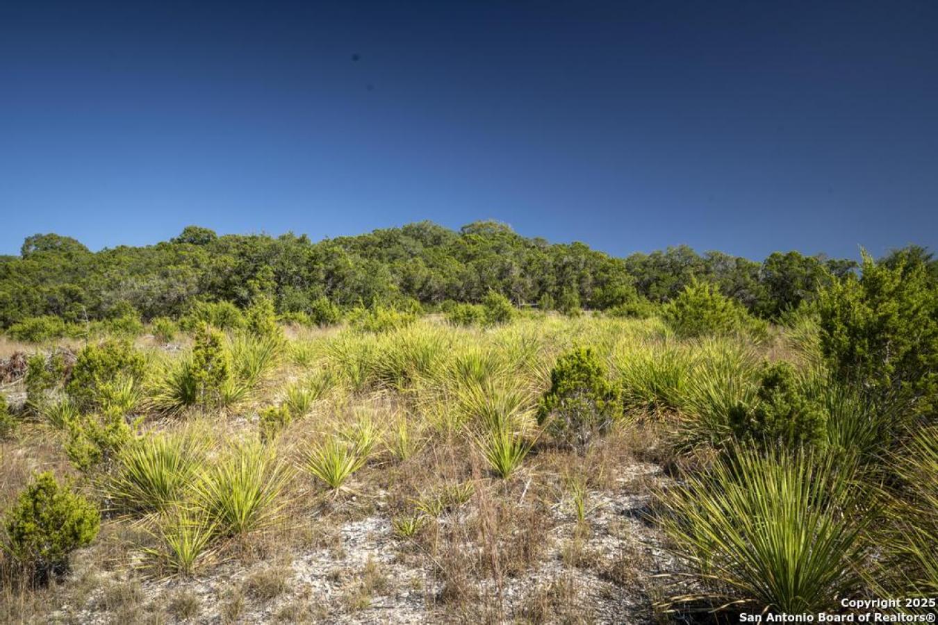 Bulverde, Comal, 78163, United States, ,Residential,For Sale,1995224