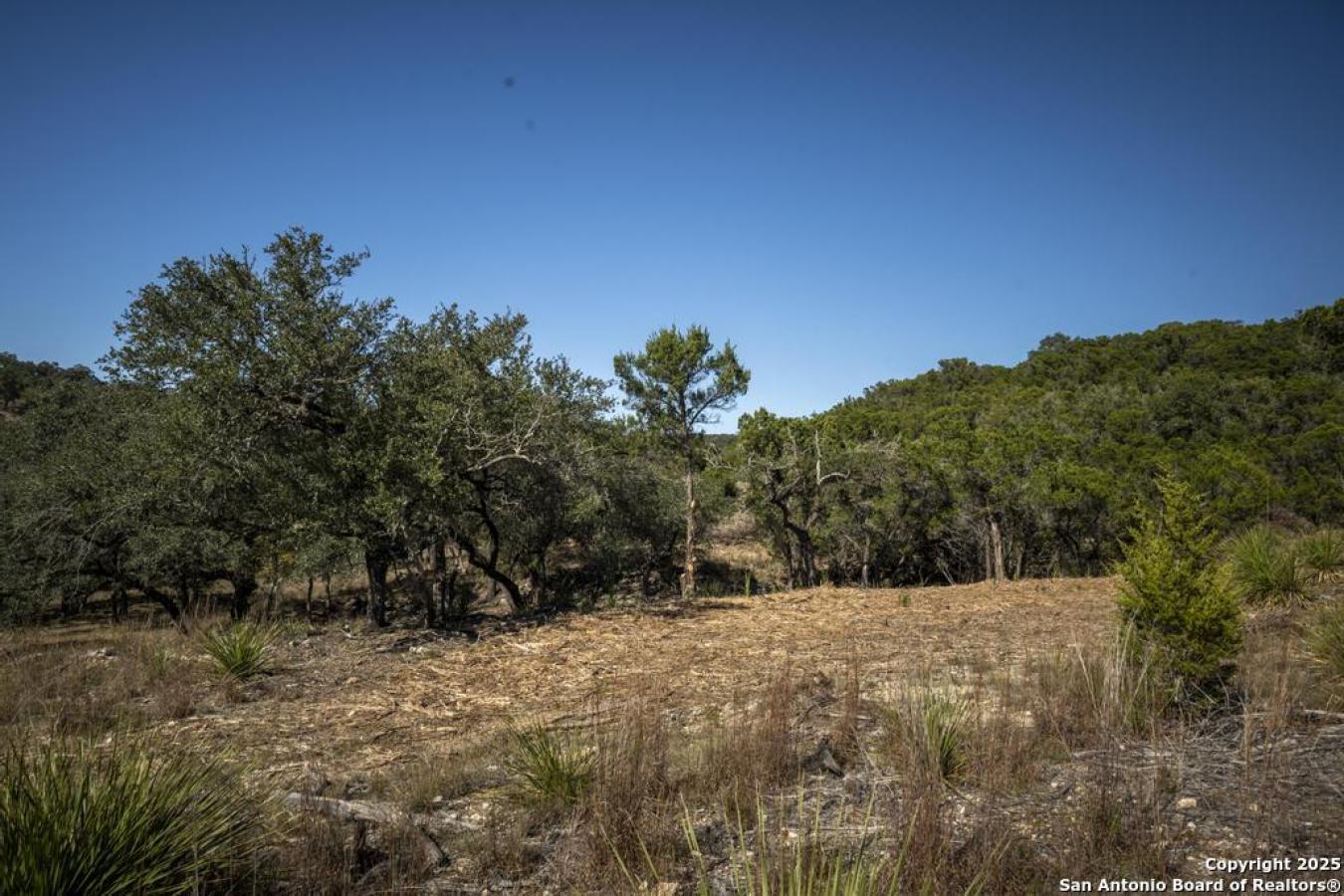 Bulverde, Comal, 78163, United States, ,Residential,For Sale,1995224