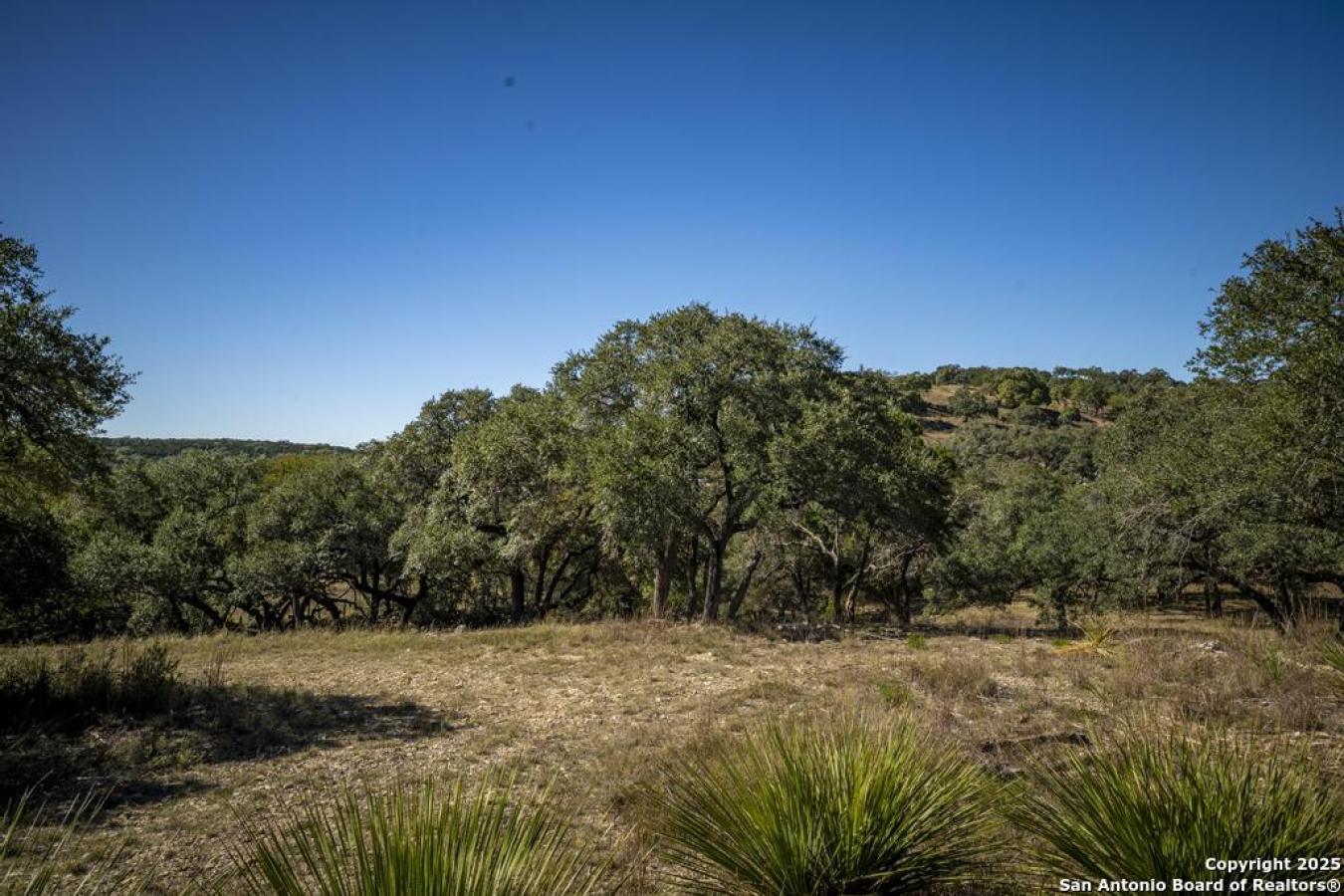 Bulverde, Comal, 78163, United States, ,Residential,For Sale,1995224