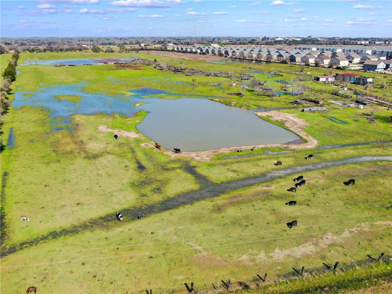 Hempstead, Waller, 77445, United States, ,Residential,For Sale,1995217