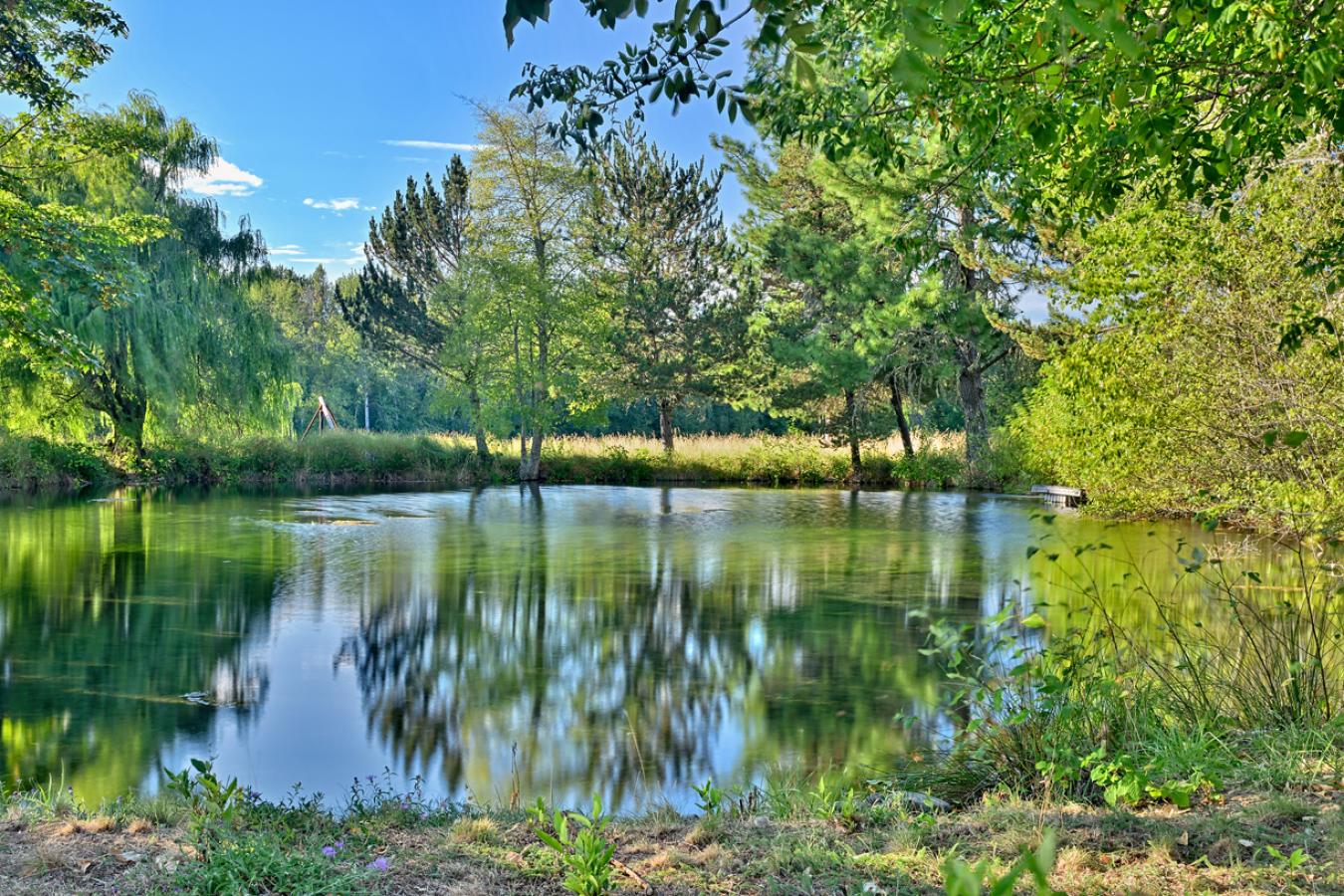 Cave Junction, Josephine, 97523, United States, 3 Bedrooms Bedrooms, ,2 BathroomsBathrooms,Residential,For Sale,1995508