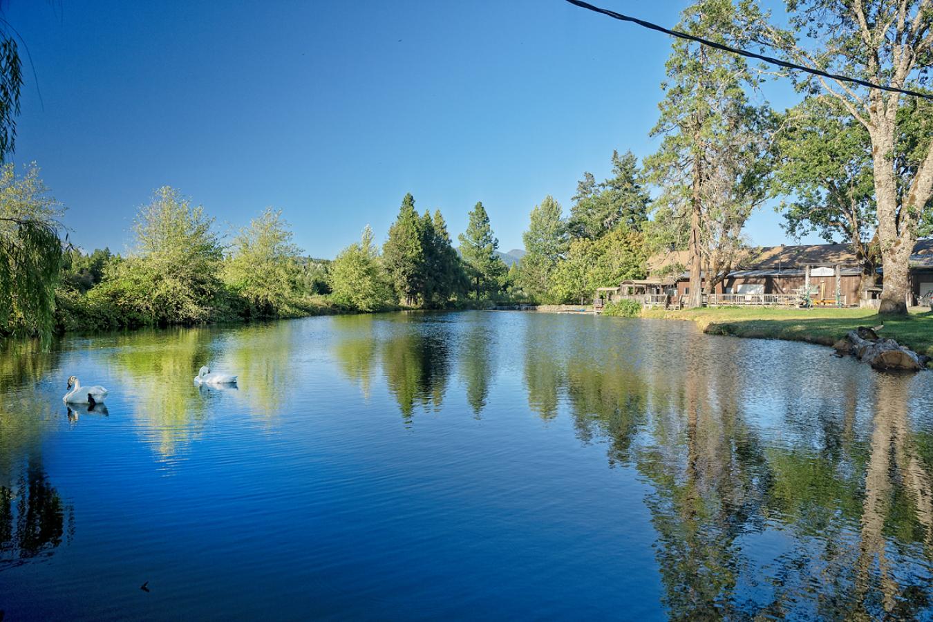 Cave Junction, Josephine, 97523, United States, 3 Bedrooms Bedrooms, ,2 BathroomsBathrooms,Residential,For Sale,1995508