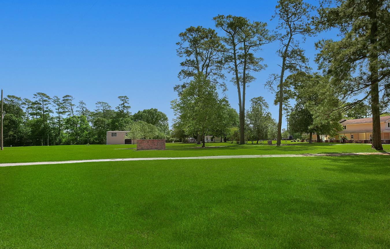 Spring, Montgomery, 77380, United States, 5 Bedrooms Bedrooms, ,1 BathroomBathrooms,Residential,For Sale,2014902