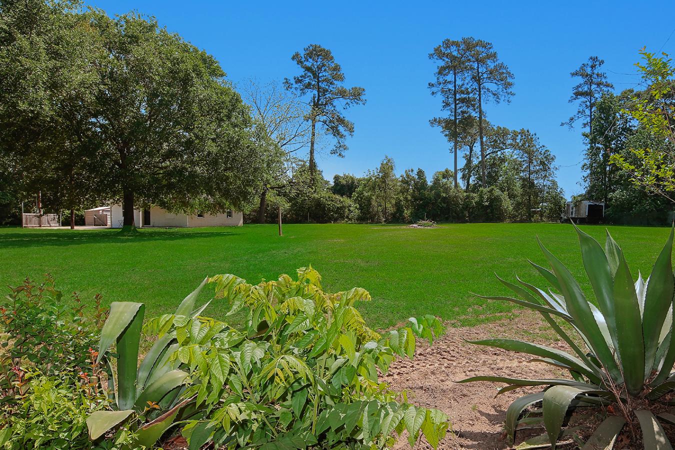 Spring, Montgomery, 77380, United States, 5 Bedrooms Bedrooms, ,1 BathroomBathrooms,Residential,For Sale,2014902